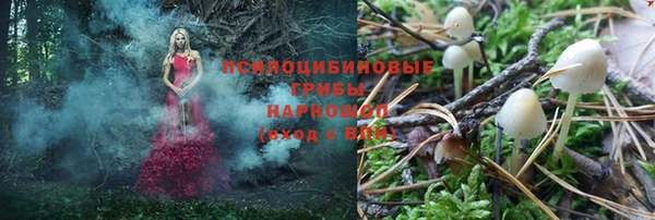 кокс Бородино